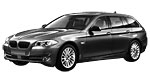 BMW F11 C217A Fault Code